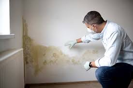  , USA Mold Remediation Pros